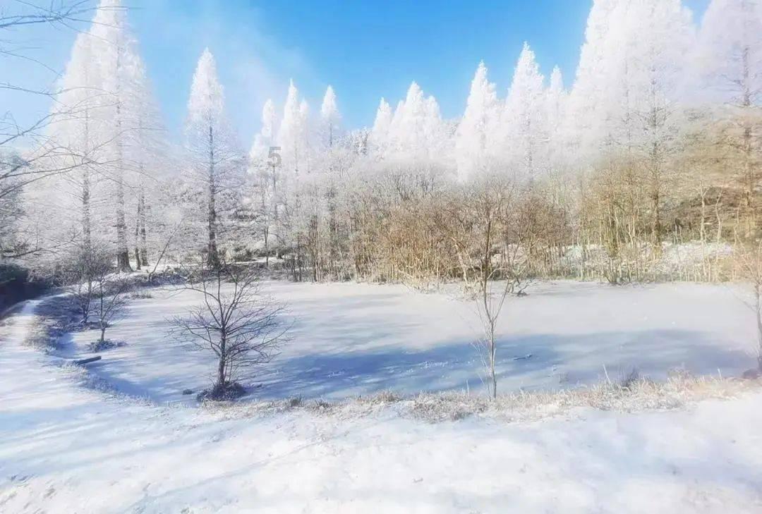 银装素裹 巫山初雪